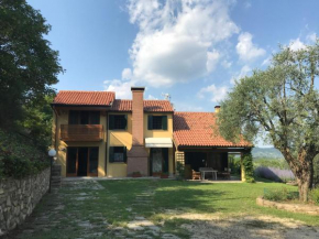 Casa vacanze Agli ulivi Baone